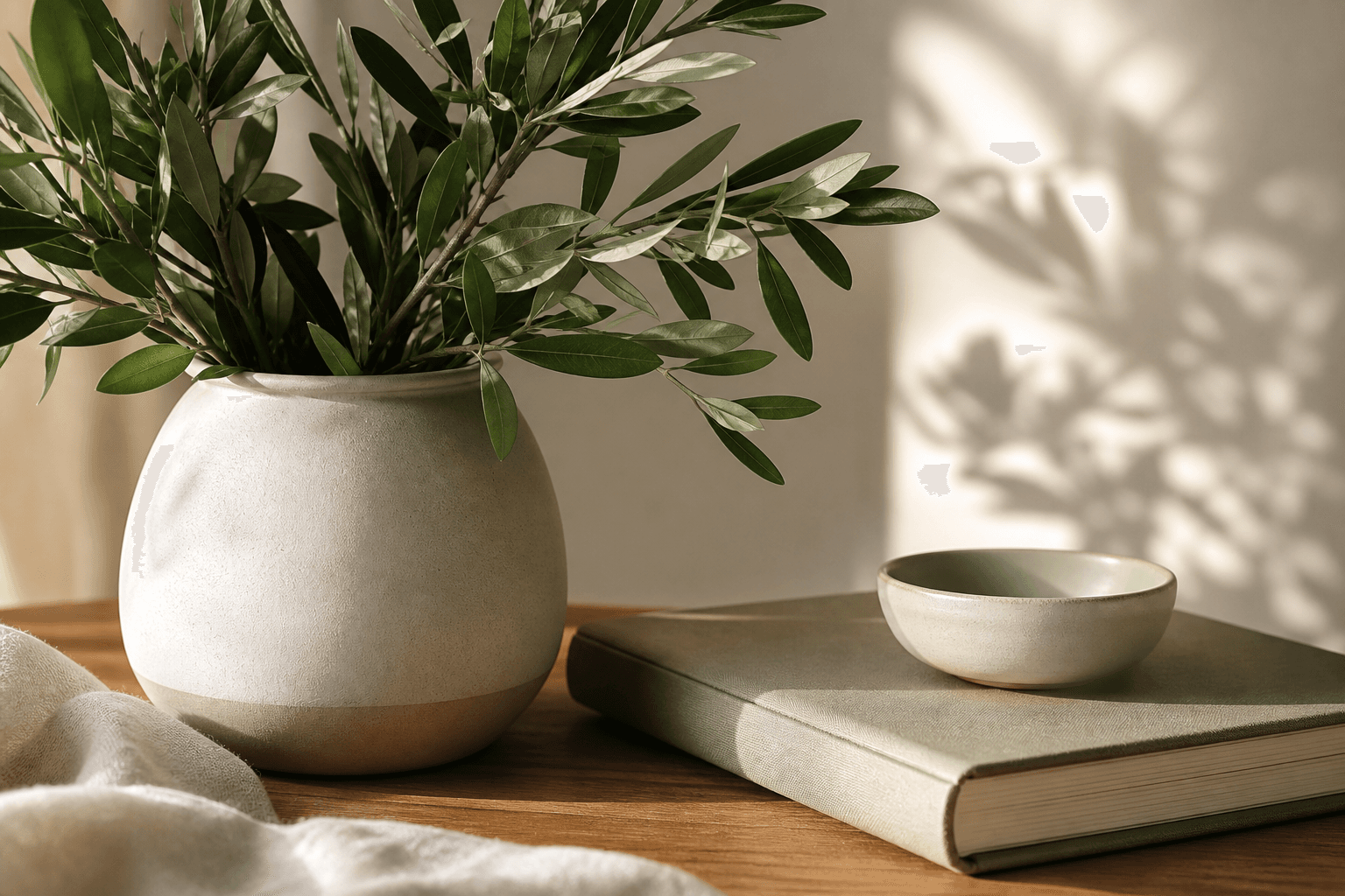 Plante et objets du quotidien dans une lumière douce
